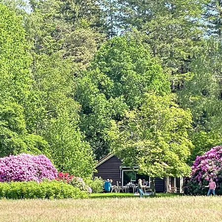 Landgoed Dennenholt - 5 Unique Homes Vierhouten