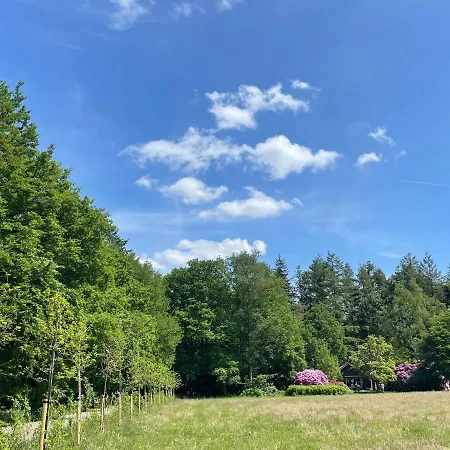 Landgoed Dennenholt - 5 Unique Homes * Vierhouten