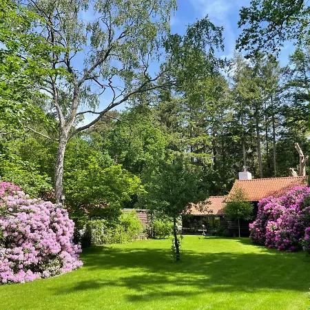 بيت للعطل Landgoed Dennenholt - 5 Unique Homes فيرهوتين