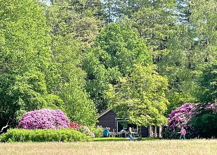 Landgoed Dennenholt - 5 Unique Homes فيرهوتين
