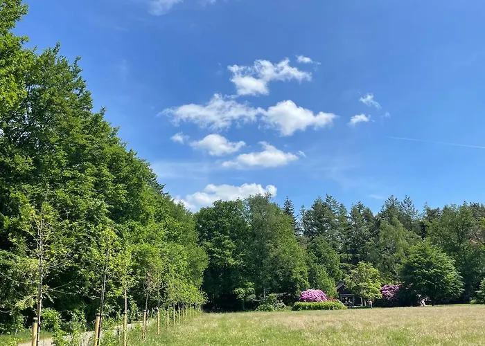 Landgoed Dennenholt - 5 Unique Homes * فيرهوتين