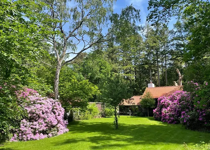 Сasa de vacaciones Landgoed Dennenholt - 5 Unique Homes Vierhouten